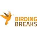 Birdingbreaks.nl - Países Baixos