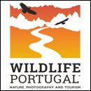 Wildlife Portugal