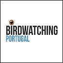 BirdWatching Portugal
