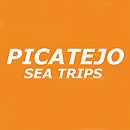 Picatejo - Sea Trips Picatejo - Sea Trips