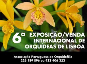 6th Edition of the Lisbon