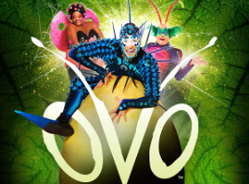 Cirque du Soleil - OVO