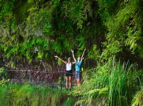 Фестиваль Природы на Мадейре (...)