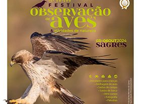 Festival de Observação de Aves (Sagres Birdwatching Festival)