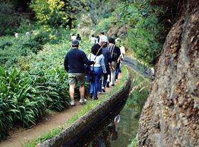 Levadas di Madeira