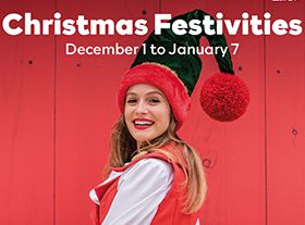 Новый год на Мадейре