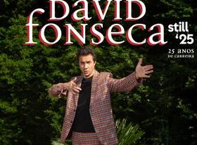 David Fonseca - Still 25