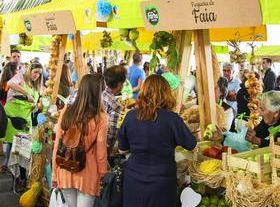 Feria del Año – Fiestas Municipales