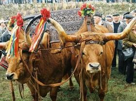 Feria de los Santos – Chaves