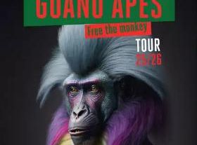 Guano Apes – Free The Monkey Tour (...)