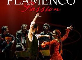 Flamenco Passion