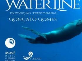 Waterline, von Gonçalo Gomes