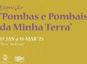 Pombas e pombais da minha terra