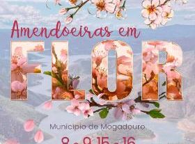 Almond Blossom Festival in Mogadouro / Free Trade Fair of Land Products and Handicrafts