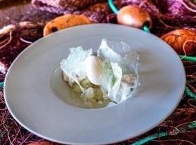Vagos Sensation Gourmet