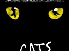 Cats (Porto)