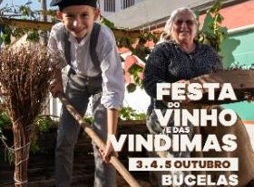 Festa do Vinho e das Vindimas