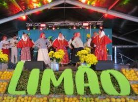 柠檬节/地区柠檬展