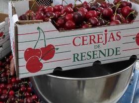 Fiesta de la Cereza - Resende