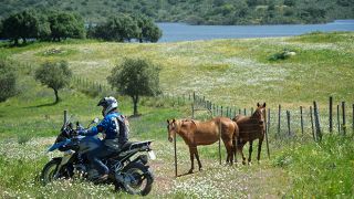 Alentejo
Photo: Paulo Ribeiro