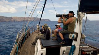 Espécies raras na Madeira
地方: Ilhas Desertas
照片: Ventura