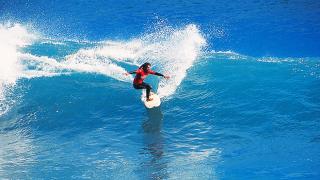 Surf
場所: Madeira
写真: Madeira