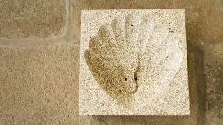 Vieira esculpida numa pedra
Local: Barcelos