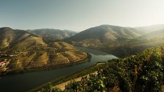 Alto Douro
写真: Filipe Rebelo