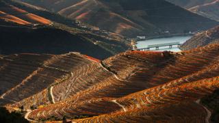 Paisagem do Douro Vinhateiro
Local: Douro
Foto: Turismo do Douro, Rui Pires Paisagem do Douro Vinhateiro
Local: Douro
Foto: Turismo do Douro, Rui Pires