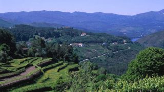 Região do Soajo
地方: Minho
照片: Turismo de Portugal