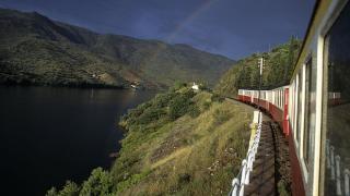 Vale do Douro
地方: Douro
照片: António Sá