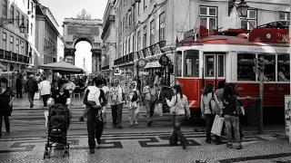 Zona comercial
場所: Baixa
写真: Turismo de Lisboa