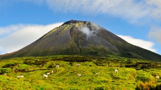 O cume do Pico visto do seu sopé
Lugar Ilha Do Pico nos Açores
Foto: Maurício de Abreu