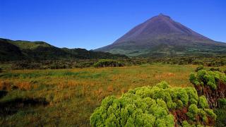 Pico
地方: Pico
照片: Turismo dos Açores