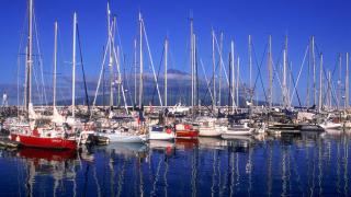 Marina da Horta
Lieu: Ilha do Faial nos Açores
Photo: Turismo de Portugal