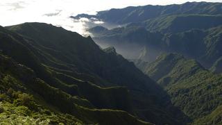 Floresta Lauríssilva
Lugar Madeira
Foto: Turismo de Portugal