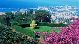 Jardim Botânico
Место: Funchal
Фотография: Turismo da Madeira