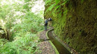 Levada
Place: Lombo do Urzal
Photo: Turismo da Madeira