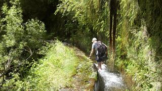 Levada
Ort: Madeira
Foto: Turismo da Madeira