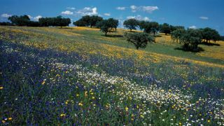 Páscoa
Place: Alentejo
Photo: Turismo do Alentejo Páscoa
Place: Alentejo
Photo: Turismo do Alentejo