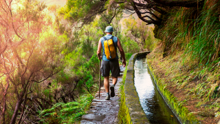 Walking
Photo: ShutterStock Walking
Photo: ShutterStock