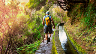 Walking
Photo: ShutterStock