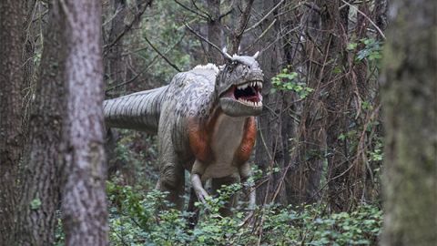Dino Parque Lourinhã Dino Parque Lourinhã