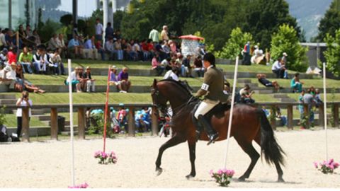 VI Feira do Cavalo da Maia