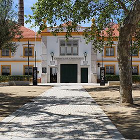 Museu Vista AlegreLocal: ÍlhavoFoto: Vista Alegre