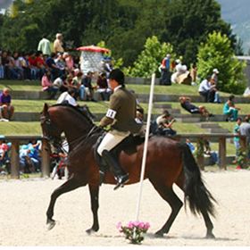 Feira do Cavalo de Ponte de Lima