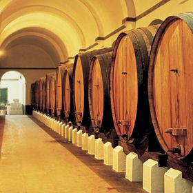 Pipes of winePhoto: Turismo Centro de Portugal