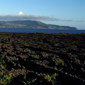 PicoPlaats: Ilha Do Pico nos AçoresFoto: António Sá