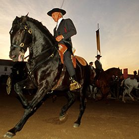 Feira da GolegãФотография: ©RCL-RuiCunha