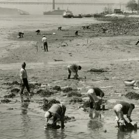 Crónicas de uma Lisboa desconhecidaPlace: Museu de LisboaPhoto: DR